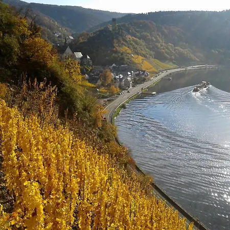 Klemm, /untermosel Burgen (Mayen-Koblenz)