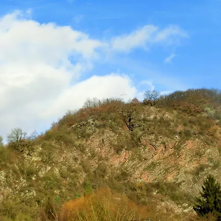 Klemm, /untermosel * Burgen (Mayen-Koblenz)